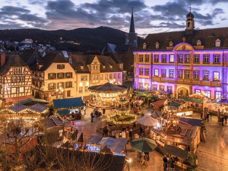 Pfaelzer Herzel Neustadt an der Weinstraße Exterior foto